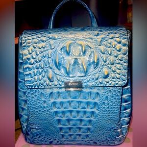 Brahmin Purse